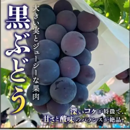 【発送月固定定期便】桃2kg(5～8玉)　黒ぶどう2房～3房　シャインマスカット2房1kg以上全3回【配送不可地域：離島・沖縄県】【4086803】