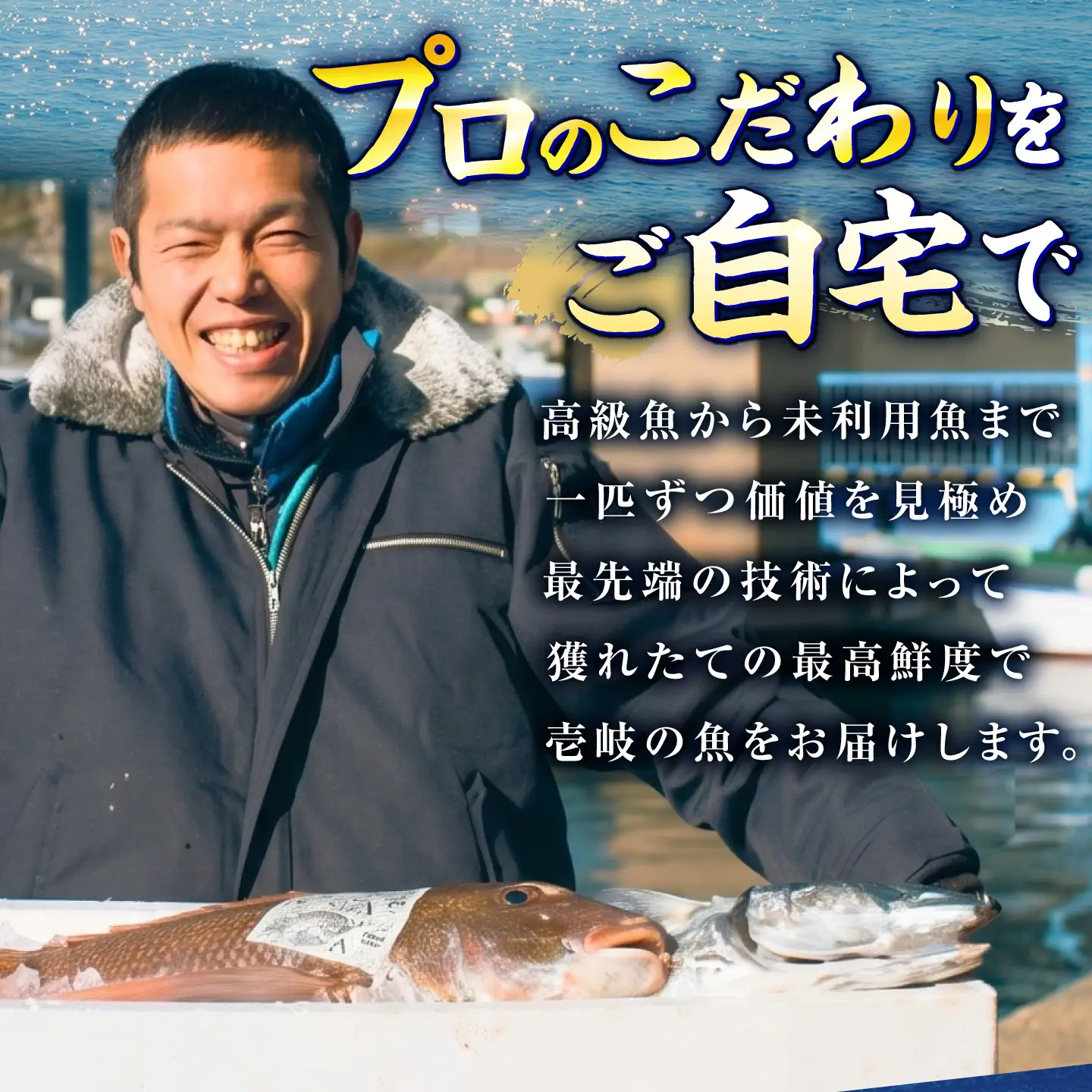 刺身セット 150g×6 [JFO009] お刺身 魚