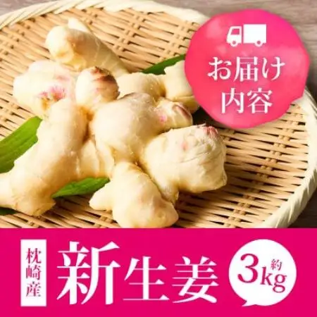 【先行受付】枕崎産 新生姜 約3kg(国産・農家直送)【2026年9月上旬より順次発送】 A3-38【配送不可地域：離島】【1739865】
