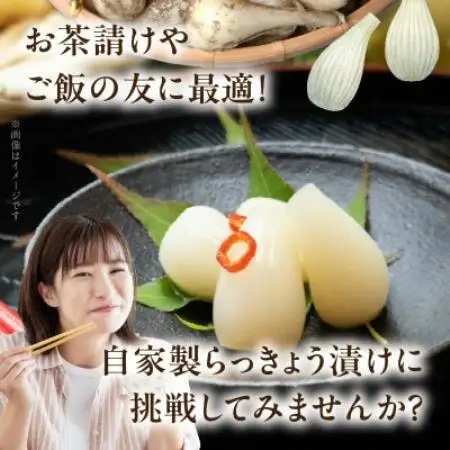 生らっきょう(小粒) 5kg【配送不可地域：離島】【1739740】