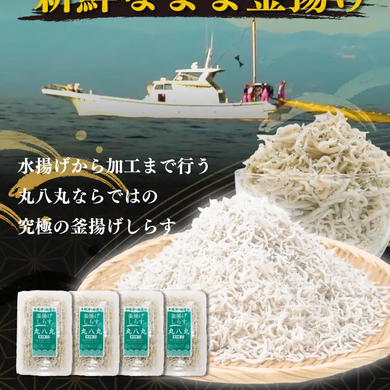 湘南水揚げ しらす 釜揚げしらす 800g ( 200g × 4パック )