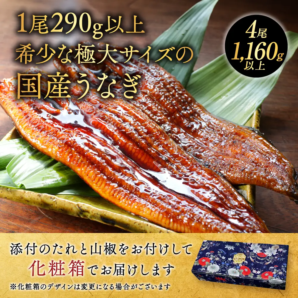 国産 希少 超極大 特上うなぎ(290g×4尾)