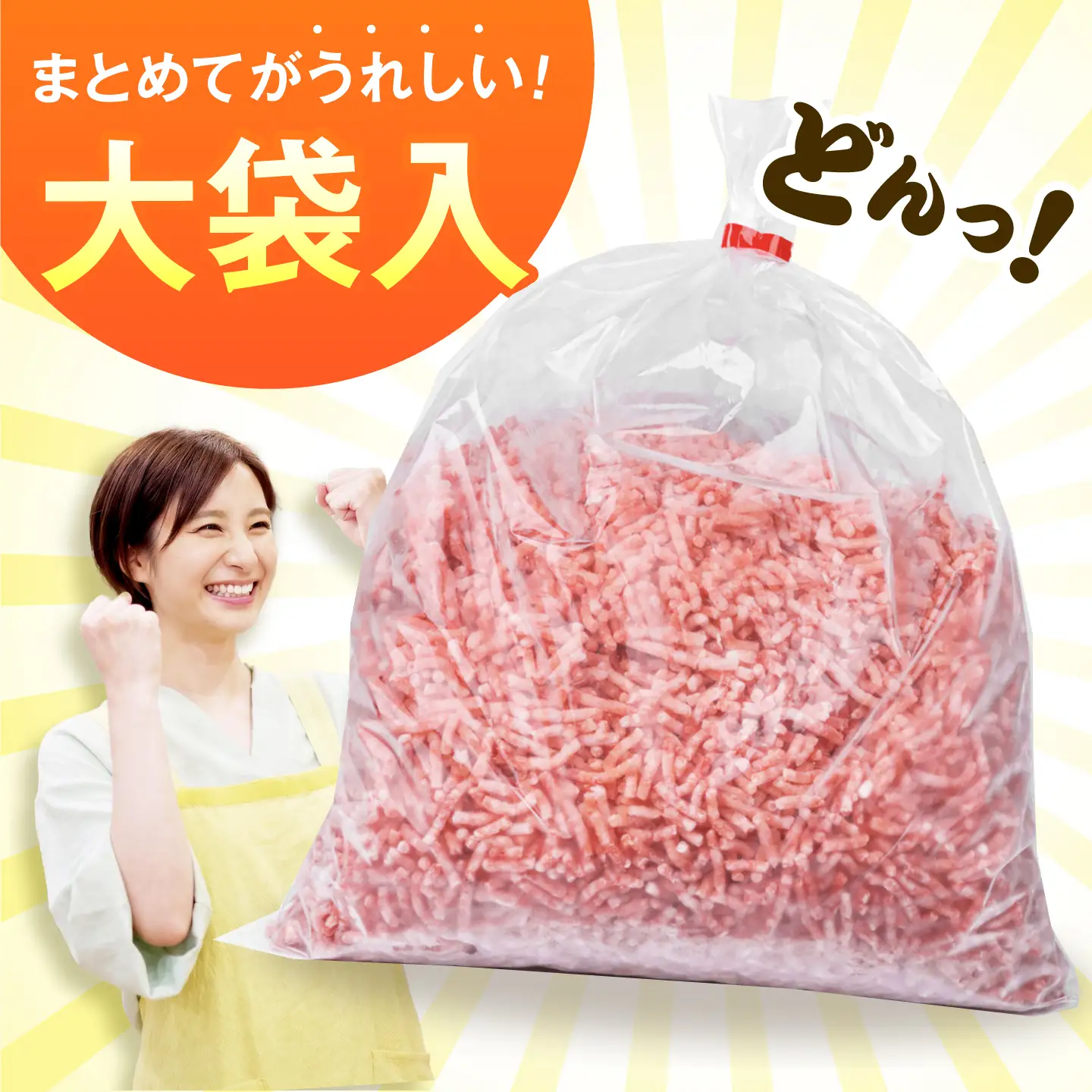 《バラ凍結》あんしん豚 豚ミンチ 3kg（1kg×3袋）豚肉 ミンチ肉 豚ひき肉 ひき肉 豚ミンチ 挽肉 豚挽き肉 大容量 冷凍 国産 パラパラ 岐阜県 白川町 / 藤井ファーム[AWAF092]
