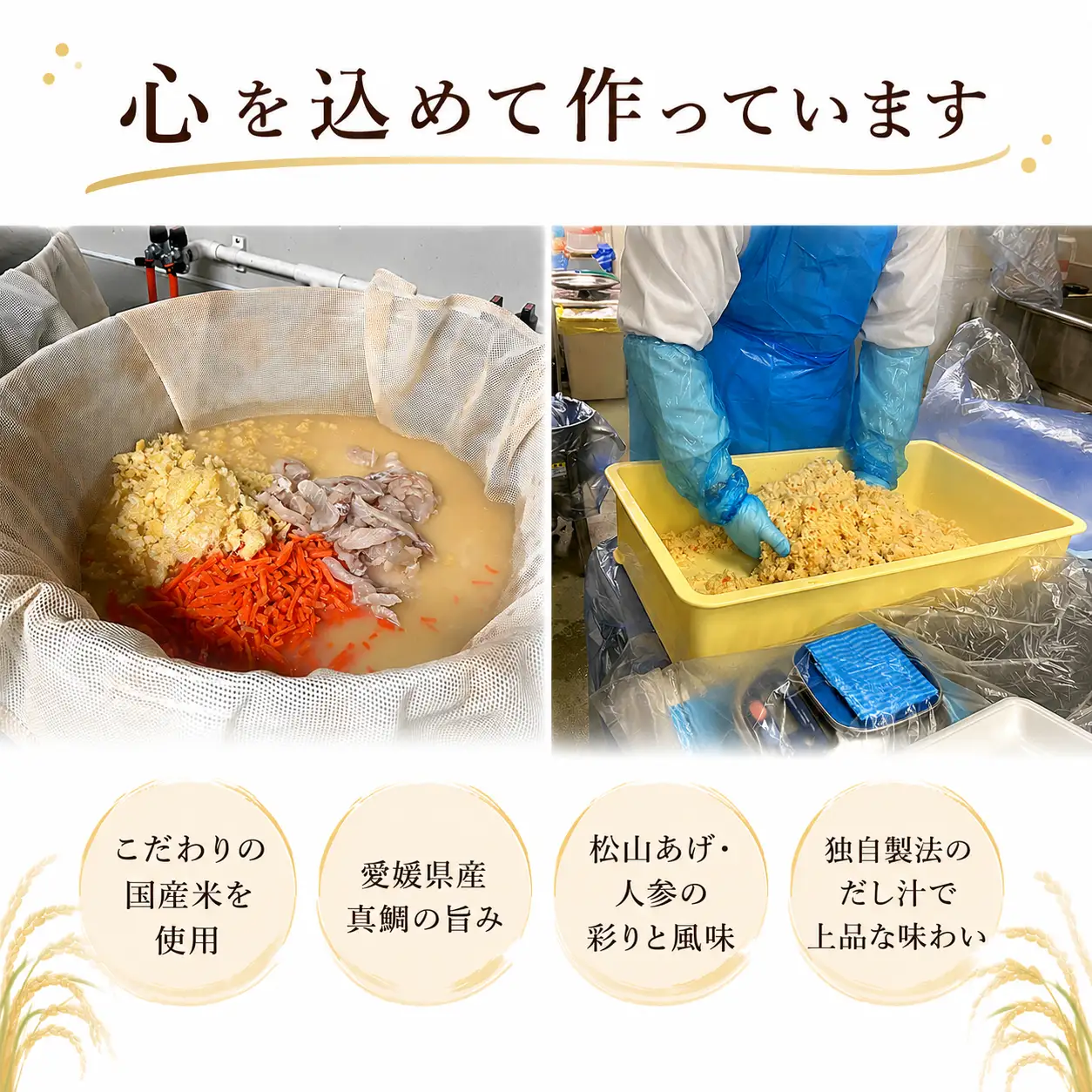 松山鯛めしおにぎり 12個入り｜冷凍おにぎり 鯛めし 愛媛県産真鯛 国産米 お弁当 レンジ調理 愛媛県 松山市【OGT001】