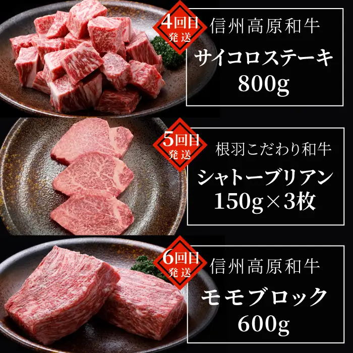 毎月限定3セット！全10回 国産 黒毛和牛★PREMIUM★定期便 シャトーブリアン 赤身ステーキ ステーキ 切り落とし カタロース 焼肉カタロース サーロインステーキ ロースステーキ ステーキ 限定 定期便 根羽村 ブランド牛