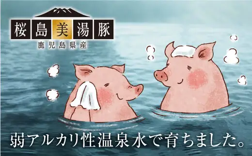 A1-0446／桜島美湯豚　ヒレ肉 3本 　(計1.2kg以上)
