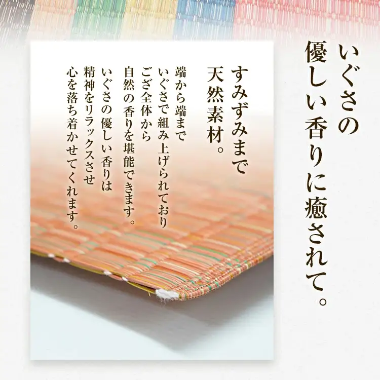 純国産天然いぐさ　「掛川　虹」３畳 （黒色）　BG024