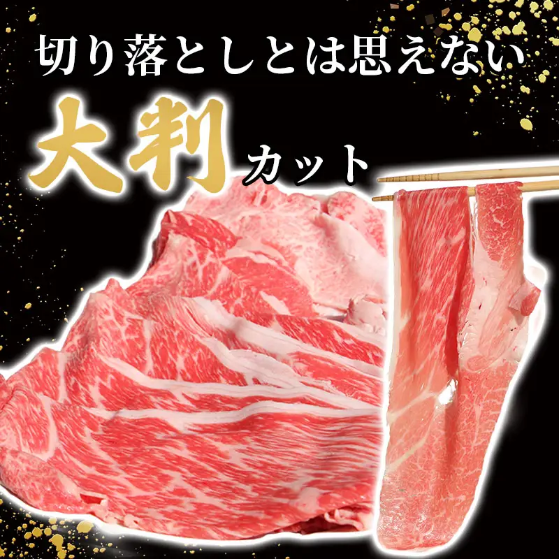佐賀牛 牛肉切り落とし 800g  牛肉切り落とし 赤身・バラ B120-088