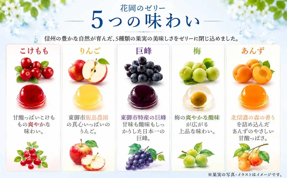 夏季限定！信州のフルーツゼリー12個セット（巨峰、こけもも、あんず、りんご、梅）【御菓子処花岡】　｜お中元 ギフト 贈り物 プレゼント