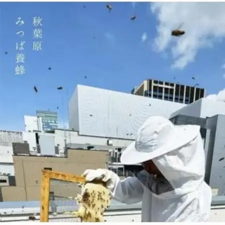 【秋葉原で採取された新鮮なはちみつを使用】あきばはちみつ　160g【1738501】