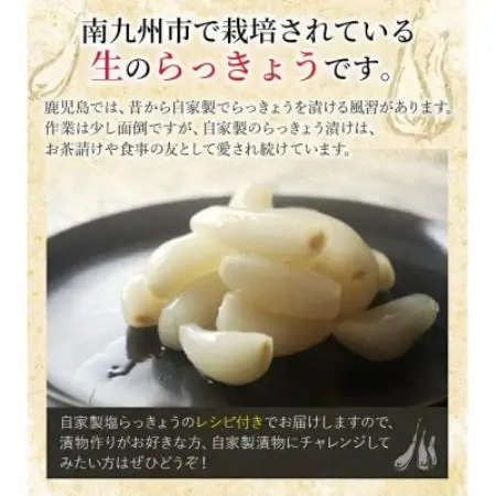 漬物作りに!生らっきょう(中～大粒)4kg【配送不可地域：離島】【1739737】