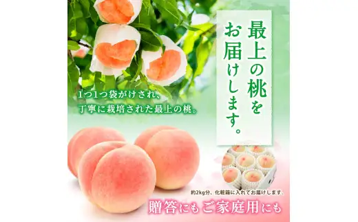 白鳳 桃 5～8玉入り 秀品 【2026年6月下旬以降発送】桃 モモ フルーツ 果物 くだもの 人気 産地直送 厳選 甘い 予約 もも フルーツ王国【mtgn053B】