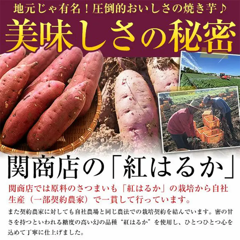 関商店 冷凍焼き芋 紅はるか 2kg（500g×4袋） 62-J