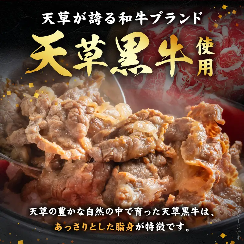 S074-016-T03_【定期便3回】天草黒牛 モモ・スネ肉 切り落とし約500g(250g×2P） 黒毛和牛 A4～5等級