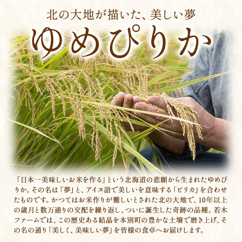 米 令和8年産 ゆめぴりか 5kg 若木ファーム 《11月上旬以降順次出荷》北海道 本別町 米 お米 白米 精米 2026年 予約 北海道産 十勝 本別町産 特A 産地直送