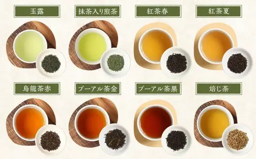 【お試し用】 崎原製茶 ST1-12 （12種セット） お茶 茶 飲料 川内ほまれ紫 煎茶 さきはら茶 玄米茶 玉露 抹茶入り煎茶 紅茶春 紅茶夏 烏龍茶赤 プーアル茶金 プーアル茶黒 焙じ茶 常温 鹿児島県 薩摩川内市 AS-1109