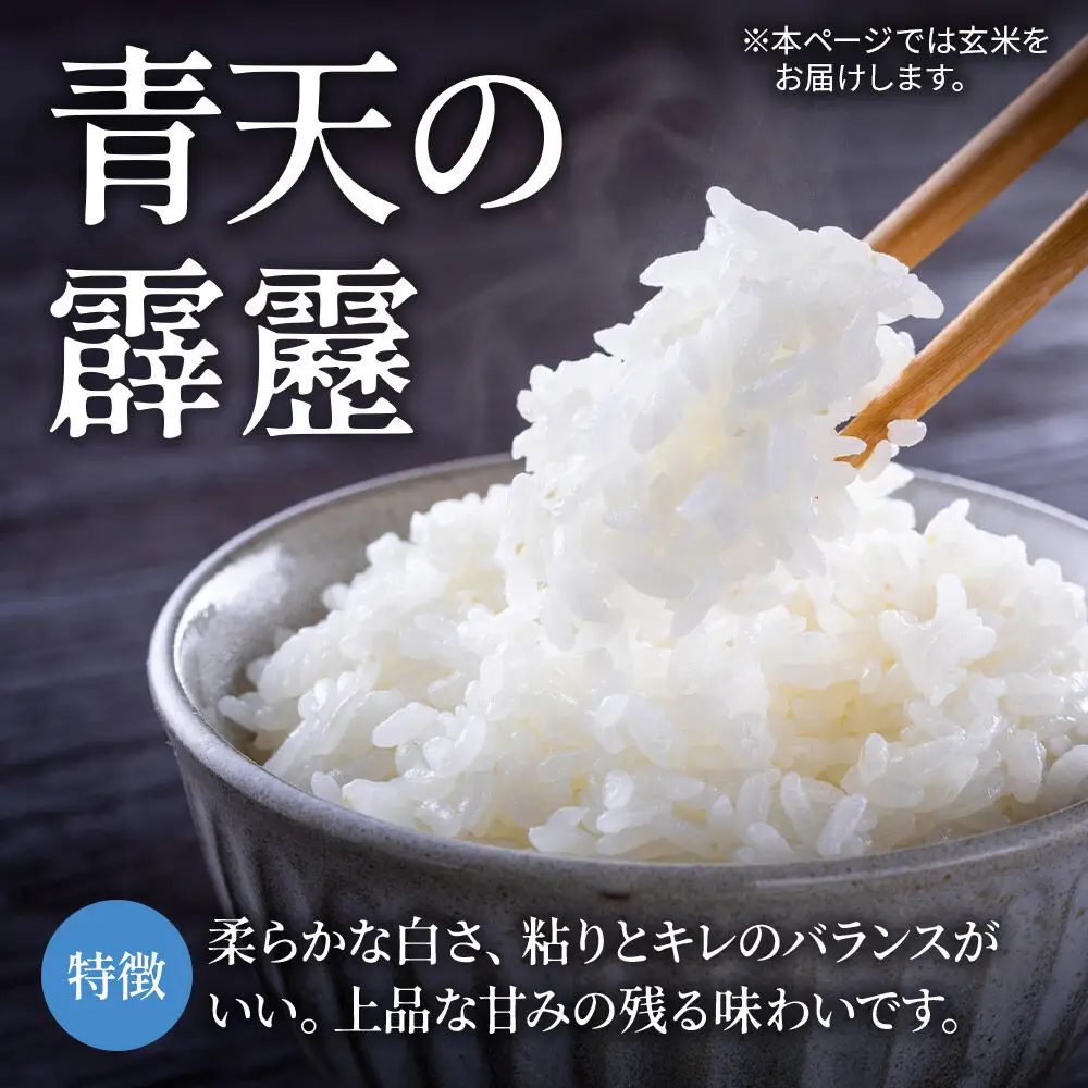 米 青天の霹靂 玄米 10kg（5kg×2袋）令和7年産 青森県弘前市産
