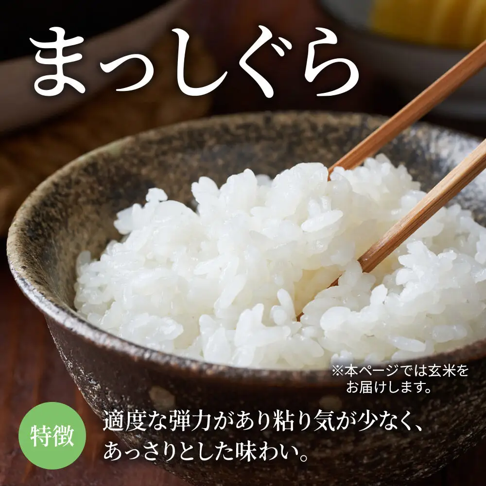 米【特別栽培米】まっしぐら 玄米 20kg（5kg×4袋）令和7年産 青森県弘前市産