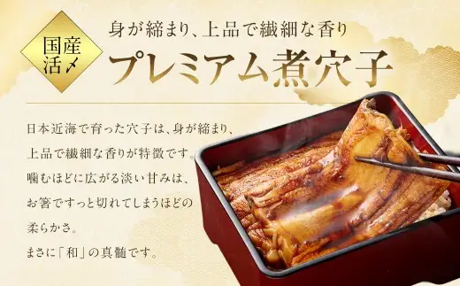 飯田商店 活〆煮穴子 （ 75～90g × 1袋 ） とプレミアム煮穴子 250g （ 250g × 1袋 ） 食べ比べセット タレ （ 50g ） 付 魚 魚類 お魚 穴子 アナゴ あなご 魚料理 冷凍 保存料不使用 着色料不使用 添加物不使用 食べ比べ セット