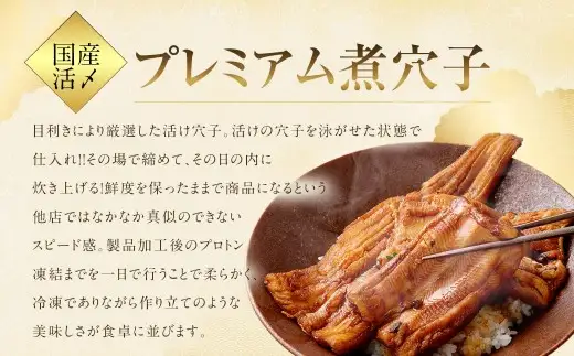 【 6ヶ月定期便 】 国産活〆 プレミアム煮穴子 250g （ 250g × 1袋 ） タレ （ 50g ） 付 魚 魚類 お魚 穴子 アナゴ あなご 魚料理 冷凍 保存料不使用 着色料不使用 添加物不使用