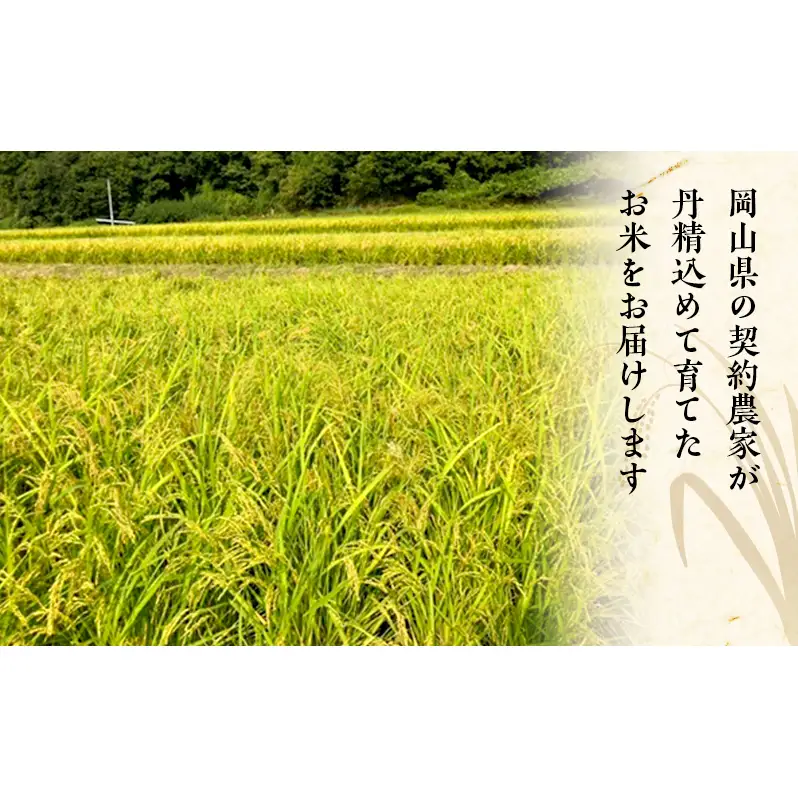 2026年度 先行受付 新米 岡山県産米 白米  あきたこまち 20kg(10kg×2袋) お米 コメ 国産 岡山