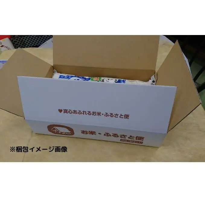 無洗米 ごてんば コシヒカリ 10kg (5kg×2袋) 富士山の伏流水で仕上げた 米 お米 白米 精米 ブランド米 産地直送 ダイエット バナジウム こしひかり 御殿場 富士山 静岡 静岡県 裾野 裾野市