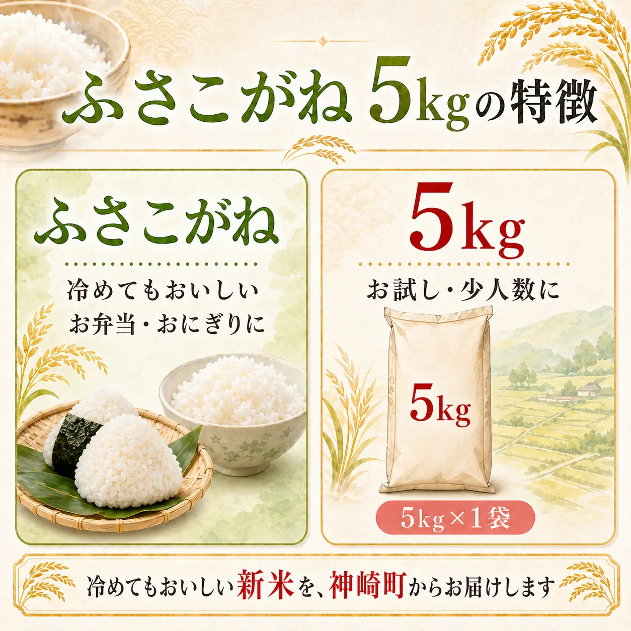 【ふるさと納税】【令和8年産 新米先行予約】米 5kg 千葉県神崎町産 ふさこがね 白米（5kg×1袋） 早場米 冷めてもおいしい お弁当 おにぎり 家庭用 定番 [025-a014]
