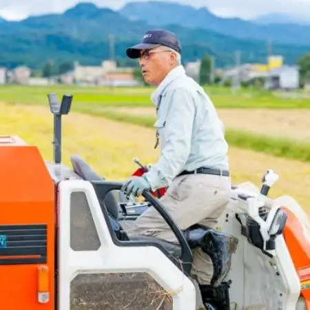 【毎月定期便】土作りからこだわった岩船産コシヒカリ 精米6kg(2kg×3袋)[用助商店]全6回【4087035】