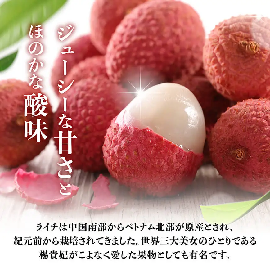 【令和8年産】川南町産ライチ（中粒）10粒(5粒×2パック)【 国産ライチ フルーツ デザート 宮崎県産 】