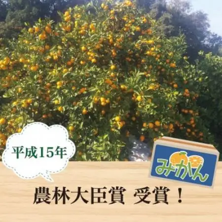 【2027年1月順次発送!】100年以上続くみかん農家がつくる「みかん(宮川早生)」約5kg【配送不可地域：離島】【1738394】