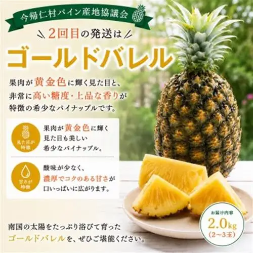 【発送月固定定期便】今帰仁村パイン産地協議会 3種のパイナップルの食べ比べ全3回【配送不可地域：離島】【4086626】