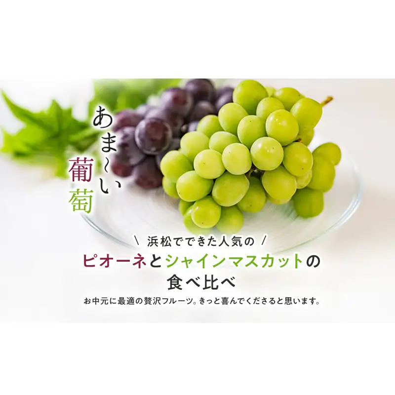 【浜松市産 JAとぴあ浜松】シャインマスカットとピオーネ 1房500g以上大房×2種 合計2房（約1kg） シャインマスカット ピオーネ ぶどう 葡萄 フルーツ プレゼント お中元 クール 静岡 浜松市【配送不可：離島】 