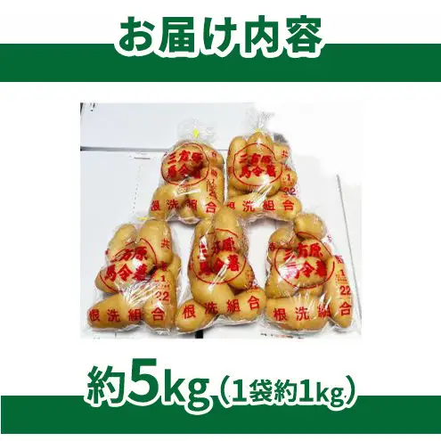 【静岡県浜松市産】三方原馬鈴薯 メークイン Lサイズ 約5kg（1袋約1kg×5袋） じゃがいも 芋 野菜 静岡 浜松市