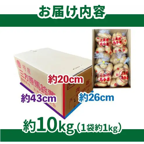 【静岡県浜松市産】三方原馬鈴薯 メークイン Lサイズ 約10kg（1袋約1kg×10袋） じゃがいも 芋 野菜 静岡 浜松市