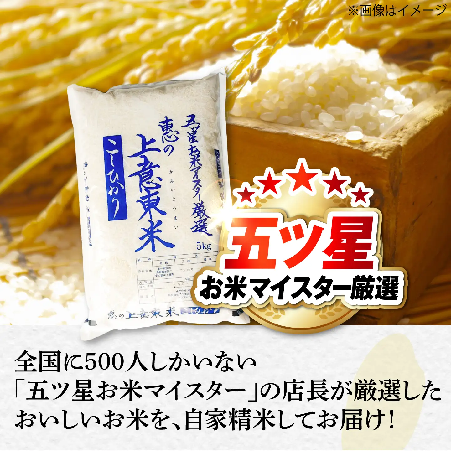 【先行予約】【2026年10月以降発送】【全6回定期便】新米コシヒカリ5kg 島根県松江市/株式会社沼田米穀店[ALBU020]