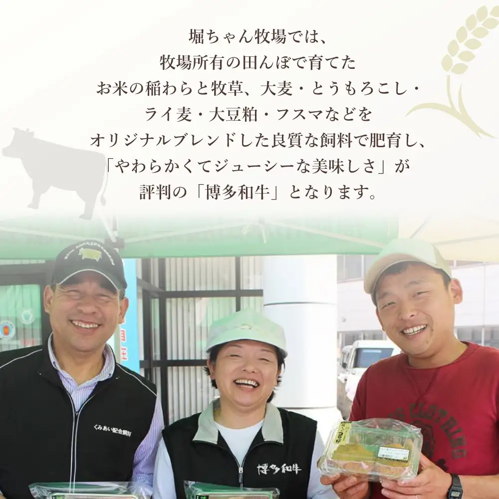 博多和牛　もつ鍋セット（醤油味）＜3～4人前＞