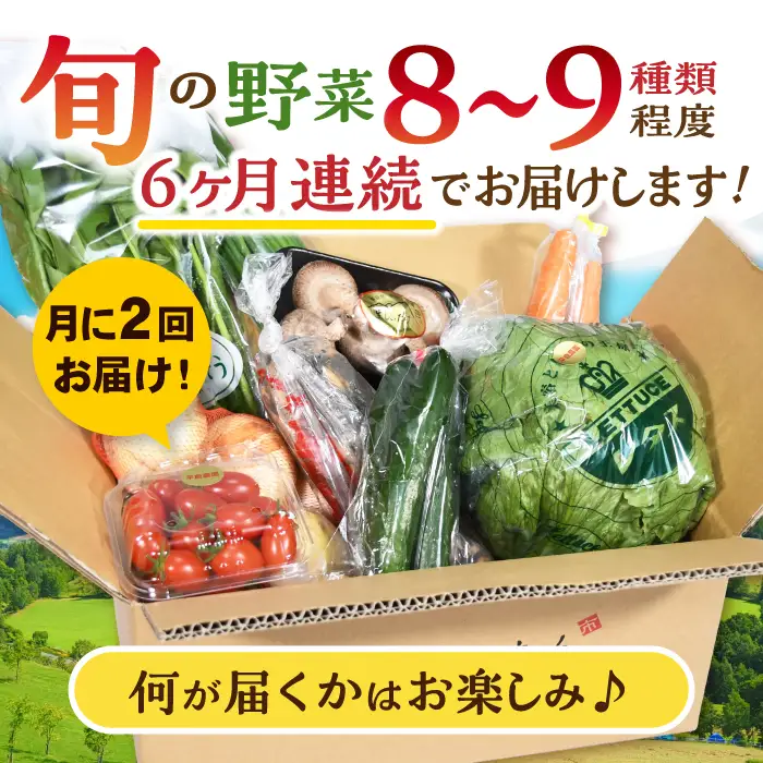 月2回お届け【12回定期便】諫早産 野菜の詰め合わせ 8・9品目程度 / 季節 旬 野菜 やさい 春野菜 夏野菜 秋野菜 野菜セット 詰め合わせ 野菜定期 野菜定期便 定期便 / 諫早市 / 肥前グローカル株式会社[AHDI014]
