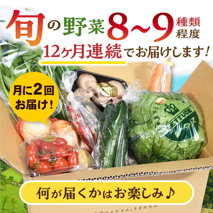 月2回お届け【24回定期便】諫早産 野菜の詰め合わせ 8・9品目程度 / 季節 旬 野菜 やさい 春野菜 夏野菜 秋野菜 野菜セット 詰め合わせ 野菜定期 野菜定期便 定期便 / 諫早市 / 肥前グローカル株式会社[AHDI015]