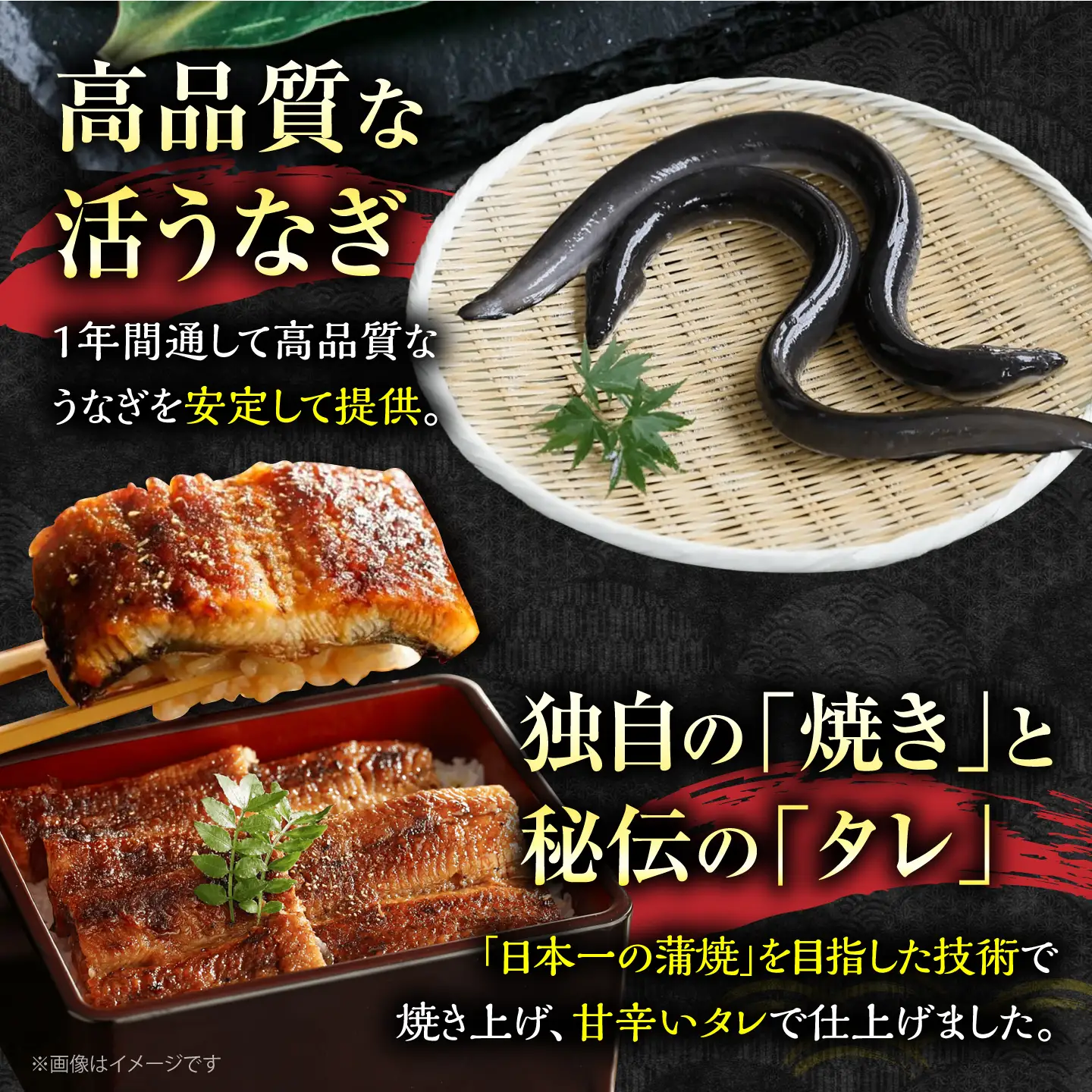 福岡県産 うなぎ 蒲焼 大1尾 160g以上 《豊前市》【福岡養鰻】[VAD036]