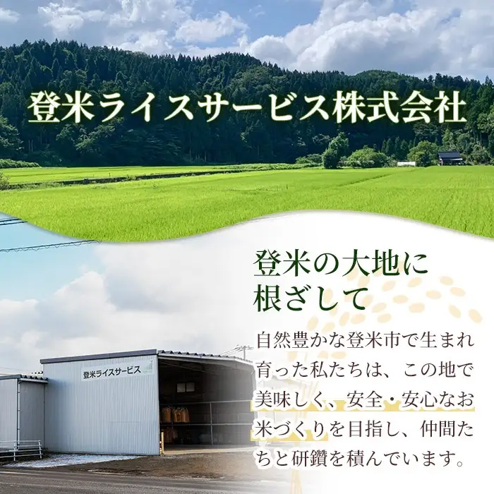【14営業日以内に発送予定】≪令和7年産≫ コシヒカリ 10kg (5kg×2袋) 登米市産 お米 おこめ 米 コメ こしひかり 白米 ご飯 ごはん おにぎり お弁当 【登米ライスサービス株式会社】tm635