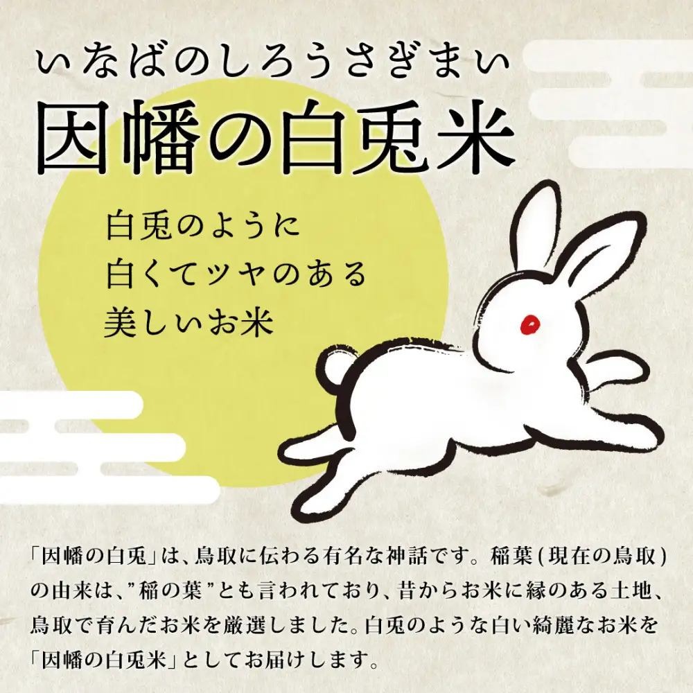 【令和8年度産】因幡の白兎米 きぬむすめ 精米済 20kg ( 5kg×4袋 )