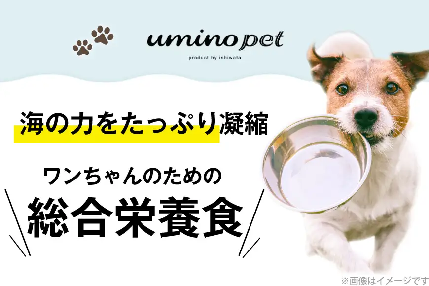 ドッグフード UMINO PET 総合栄養食 800g 1袋 [石渡商店 宮城県 気仙沼市 20565993]