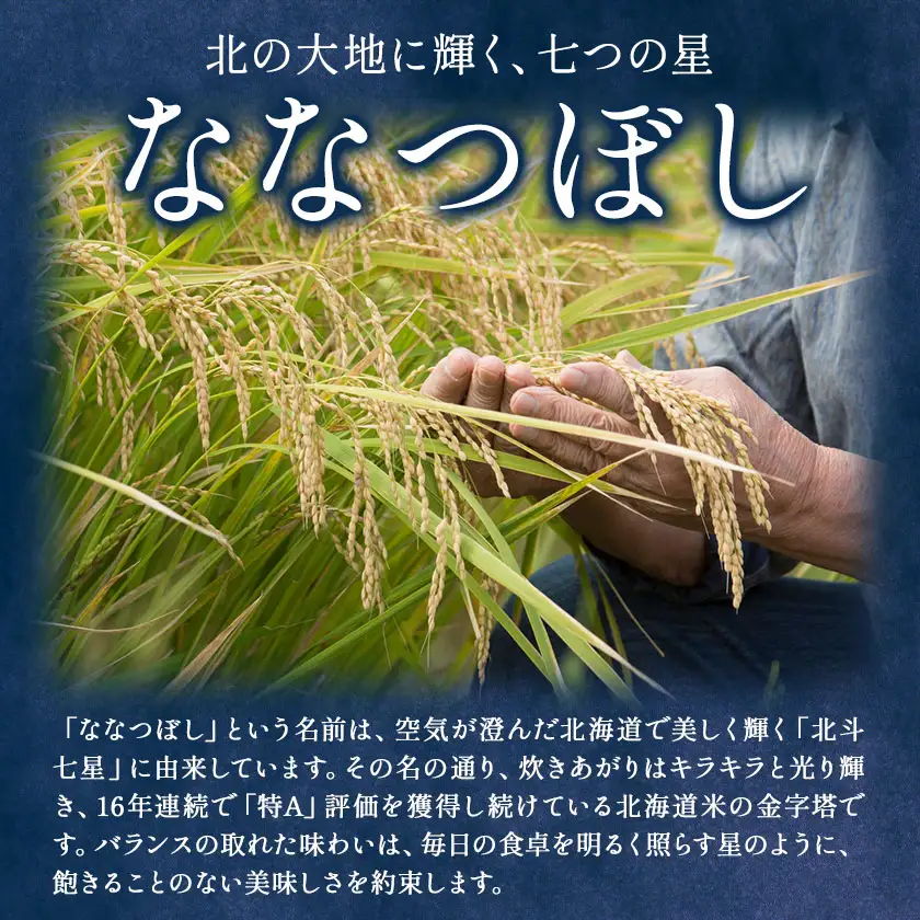 米 令和8年産 ななつぼし 5kg 若木ファーム 《11月上旬以降順次出荷》北海道 本別町 米 お米 白米 精米 2026年 予約 北海道産 十勝 本別町産 特A 産地直送