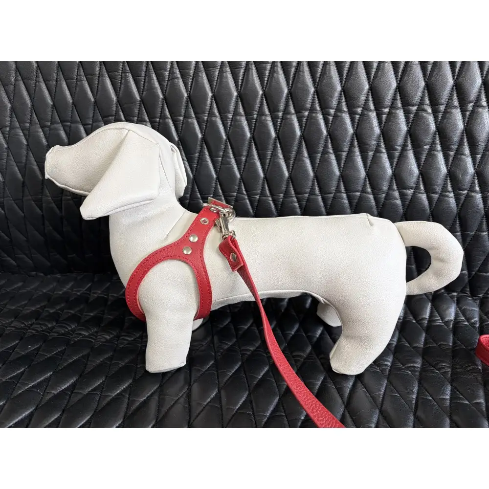 犬用・本革リード、ハーネスセット Sサイズ | リード ハーネス セット