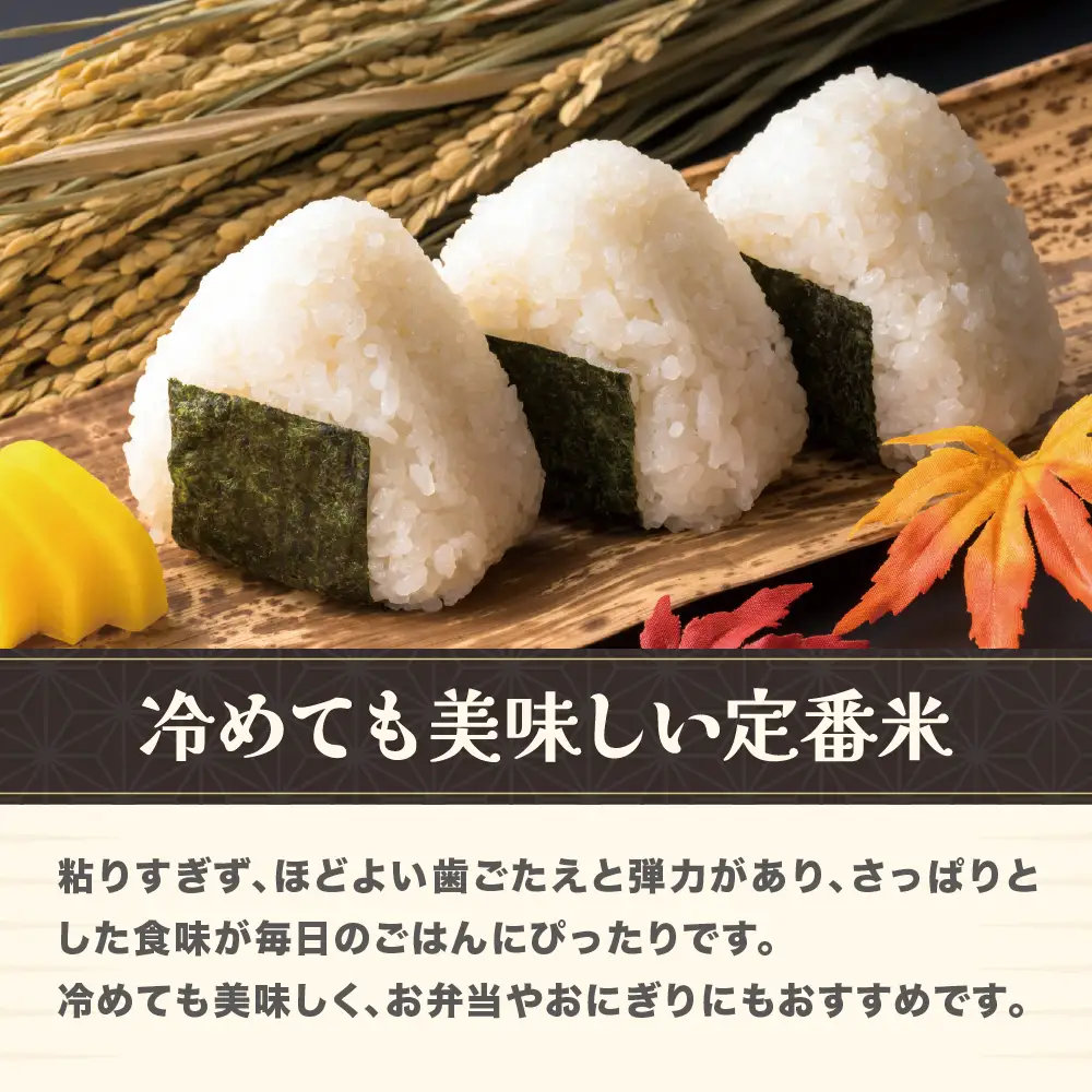 新米 令和8年産 玄米 はえぬき 10kg ja-hagxb10