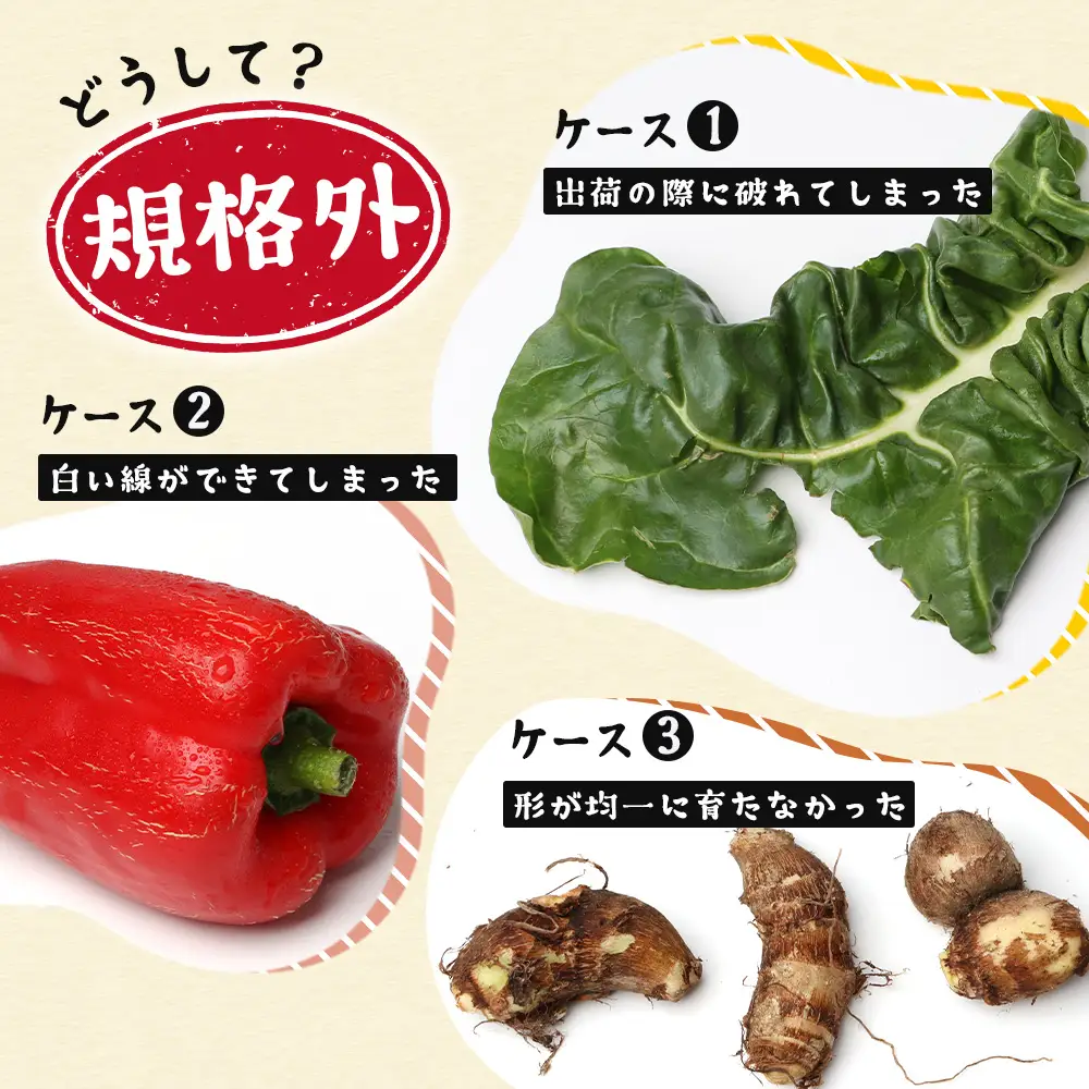 【定期便全6回】【規格外】本土最南端から 旬のおまかせ野菜セットA 10品目以上 NI-5 ｜ 旬 野菜 やさい 果物 くだもの 産地直送 農産物 冷蔵 鹿児島県 南大隅町産 詰合せ おまかせ 家庭用 訳あり なんたん市場