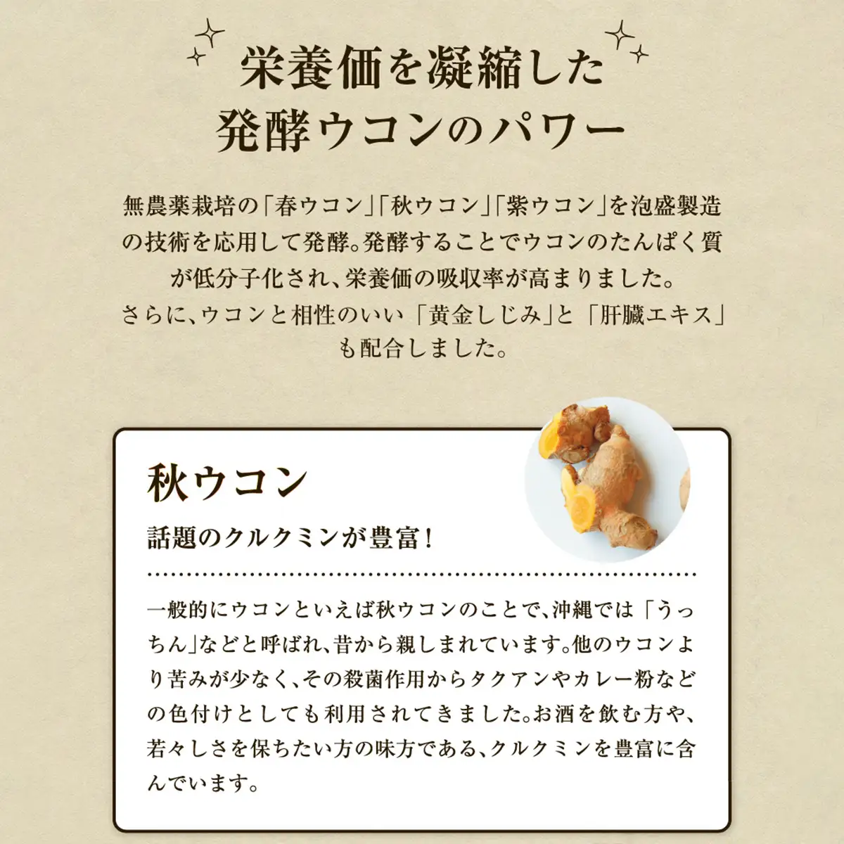 《定期便12回 1袋》琉球発酵ウコン 1袋(1粒重量250mg 3粒×31包)  | 沖縄県産の6種類のウコン | 飲みやすい タブレット 無農薬 農薬・化学肥料 不使用 自然由来 | 株式会社 しまのや | サプリ サプリメント 健康食品 | 送料無料