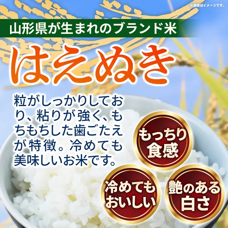 こだわりのお米 はえぬき 白米 10kg (飯豊町産) (R7年産) - 山形県 飯豊町 米 ご飯 長沼ファーム