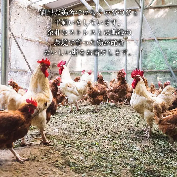 【定期便3か月】国産飼料にこだわった鶏が産む安全安心の 『レモン色たまご』20個（15個＋割れ保証5個） ［Hn4］