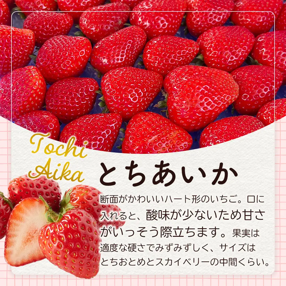 【先行予約受付】≪2027年1月発送≫ 白箱 とちあいか ミルキーベリー 紅白セット ｜果物 いちご 朝取り 新鮮 ハート フルーツ デザート ストロベリー デザート スイーツ 苺 イチゴ 大田原市 栃木県